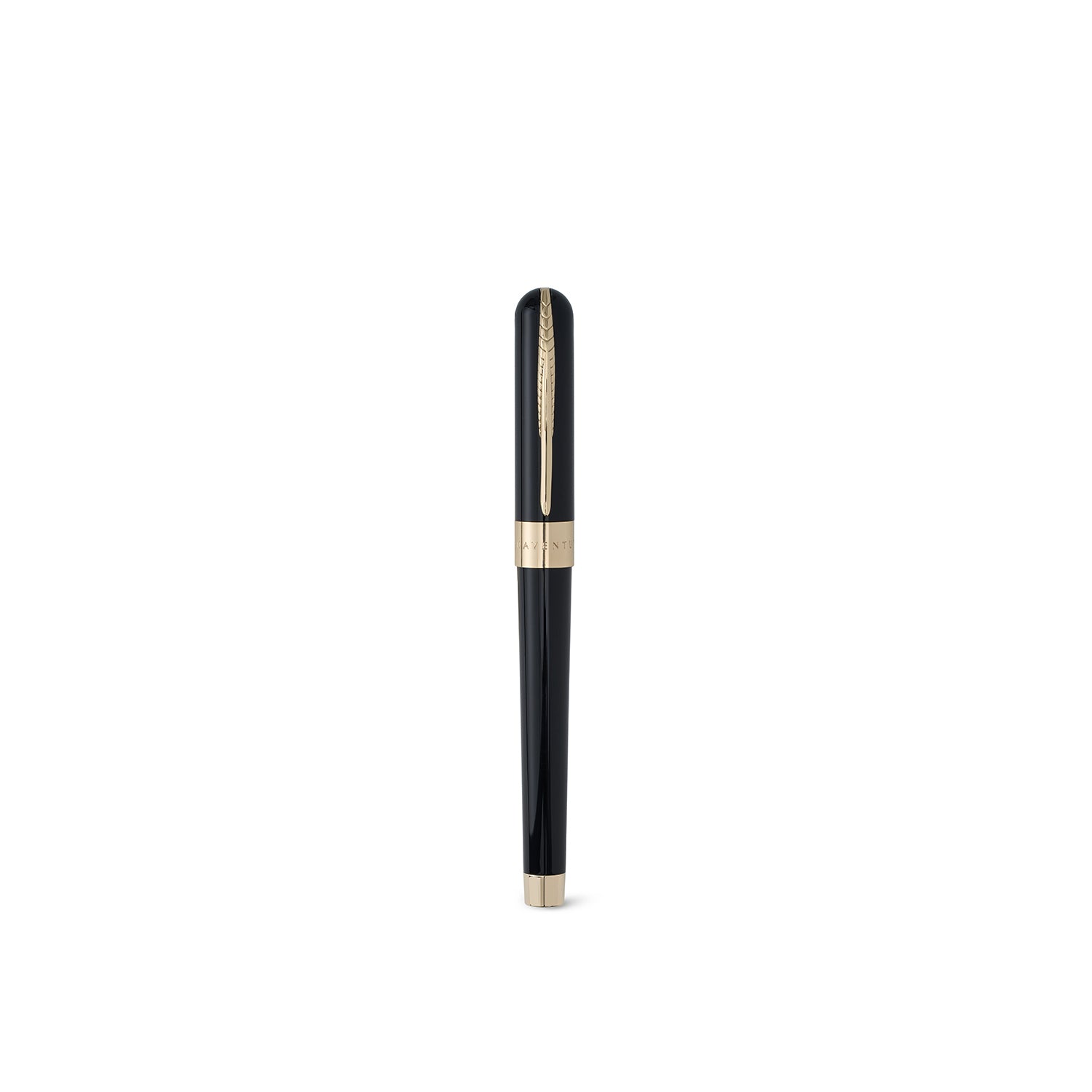 PINEIDER × BONAVENTURA Fountain Pen F (Black)