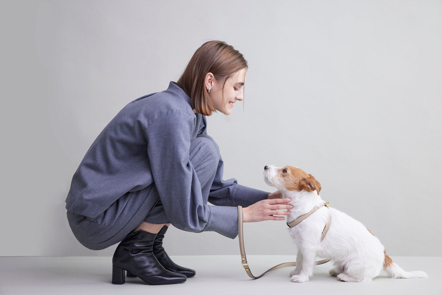 Leather Harnesses for Pets